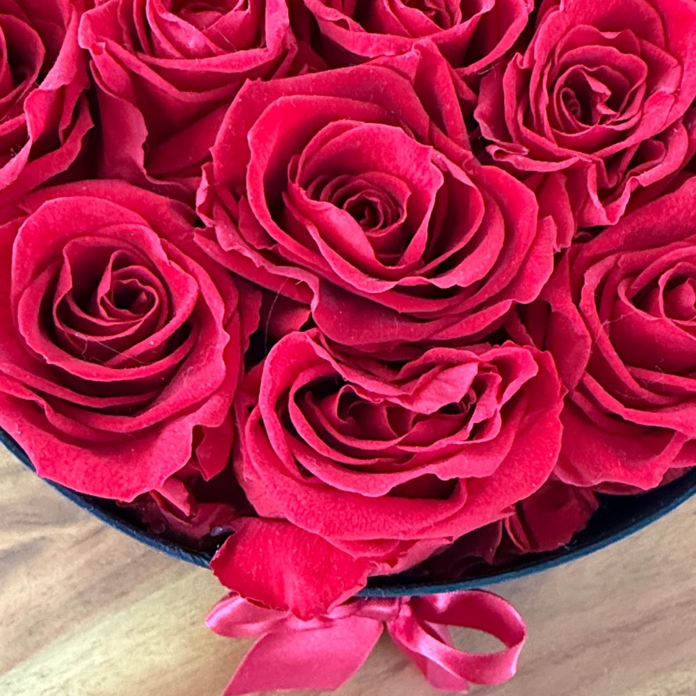 Forever Red Roses - Picture 3 of 6